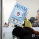 226 이미지