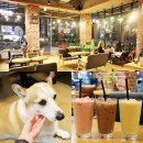 카페153블레스 이미지