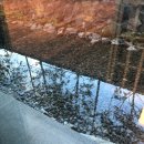 파크로쉬 리조트앤웰니스 이미지