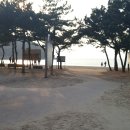 일광온누리약국 이미지