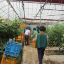 서면농장 이미지