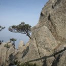 ★ 충남 홍성군 용봉산(龍鳳山 : 381m)/수암산(280m)산행 ★ 이미지