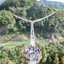 2025 포천 한탄강 가든페스타 2025년 5월 3일(토) ~ 6월 15일(일) 이미지