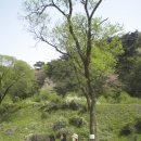 공도읍사무소 이미지