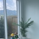 LG동락사 | [충주] 아이랑 독채 숙소<동락풀빌라>_내돈내산, 세 가족 다녀온 후기