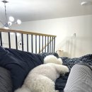 어나더 스위티 이미지