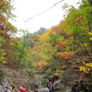 가는골1 이미지