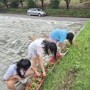 생명사랄텃밭가꾸기남지1호점16-풀뽑고, 매듭배우고,채소잎종이인형극하기 이미지