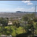 판타루시아 이미지