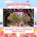 신안성장 | 🌸신안 임자도 &#39;2025 섬 홍매화축제&#39; 홍매화 개화시기