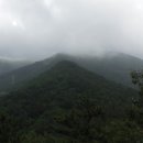 장산시장 이미지