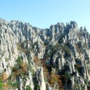 현대아산약품 이미지