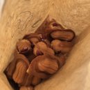 먹보 | 관저동 땅콩빵 간식 추천 먹보땅 내돈내산 후기