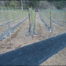 산북농장 이미지