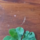 크로바농장 이미지