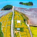 고이도 왕산성 이미지