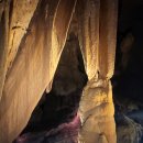 천곡황금박쥐동굴 이미지