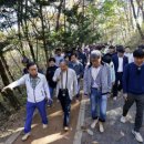 자연과 건강 이미지