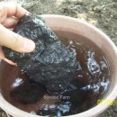 소성농장 이미지