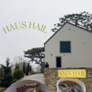 킹콩하우스 애견카페 | 강화도 애견동반 숲카페, 하우스하일 후기