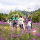 용대관광지 이미지