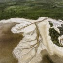 (주)자연과생명 이미지