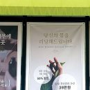 올가스킨 - 영등포구 문래로 149 | 올가스킨
