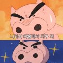 싱싱나라김밥