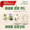 숲협동조합힐링플랜트리