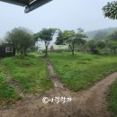 태권아리랑 | 제주 공연 아리랑혼 낙타트래킹 태권뮤지컬 이색체험
