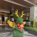 호텔 더엠(Hotel the M) | 방콕호텔 더살릴리버사이드(The salil hotel riverside) 룸 수영장 후기