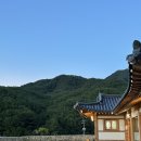 소나모나 이미지