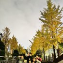 마이쏭보컬 이미지