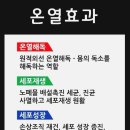 서원동-4 이미지