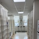 씨유창원행복점 | 임산부 쉬로드카 수술 후기/18주 임산부 수술후기 기록!