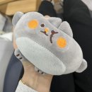 수원 조원동] 북수원 치과추천 “사람사랑치과” 사랑니 발치 후기/주의사항