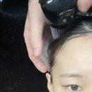 가로수헤어 - 목포시 | [일산] 일산 가로수 미용실 가로수헤어 클리닉 후기