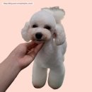 토브 펫 살롱 이미지