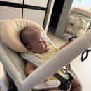 (주)하인지 | 부가부 지라프 뉴본+하이체어 7개월 찐 사용후기! #내돈내산