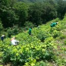 용한농장 이미지