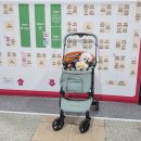 더케이펫 강아지분양 | 2026 일산 케이펫페어 마이펫페어 펫박람회 후기 주차