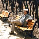 숲속에향기 이미지