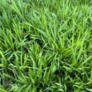 일화농장 이미지