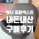 뉴나 피파넥스트 체스트넛색상 내돈내산 구매후기