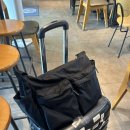 멍멍아 차에타자 | 중국 상해여행 1일차