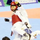 태백강원태권도체육관 이미지