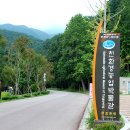 용문사입구 이미지