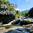 함양네파 이미지