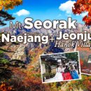 The BBs JEJU 이미지