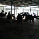 종부농장 이미지